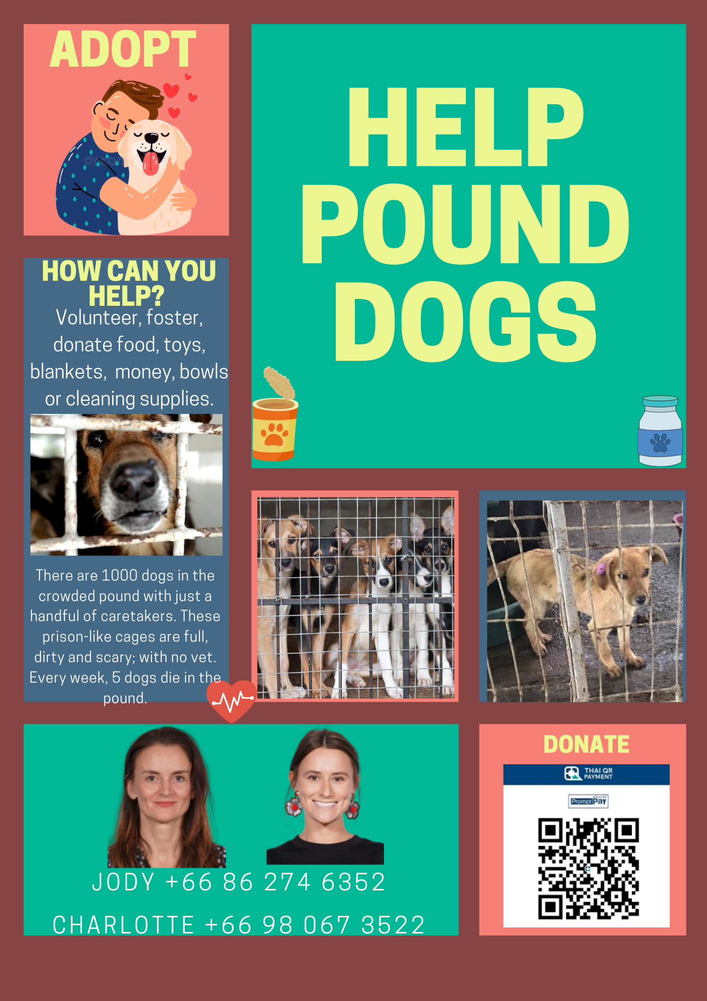 Dog pound poster