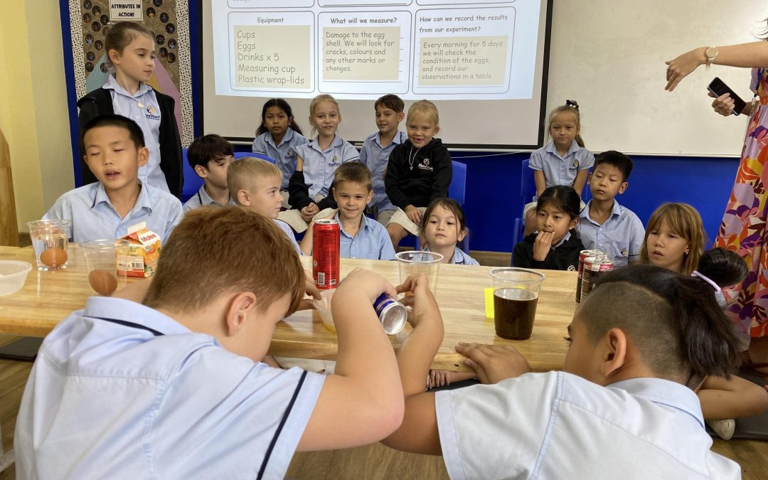Hands-on Science in Year 4