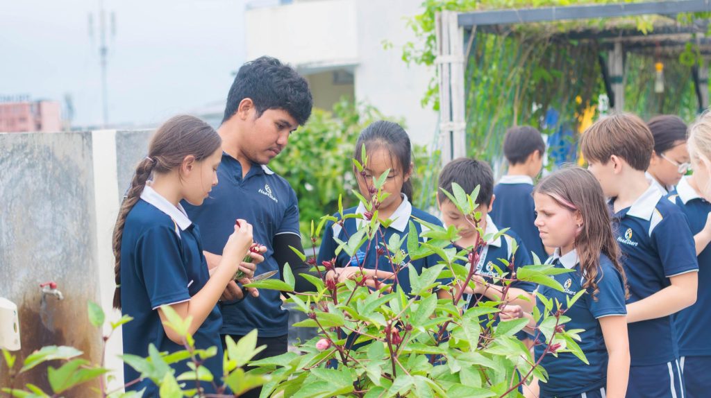 Year 6 White Get Green Fingers in the Growing Garden