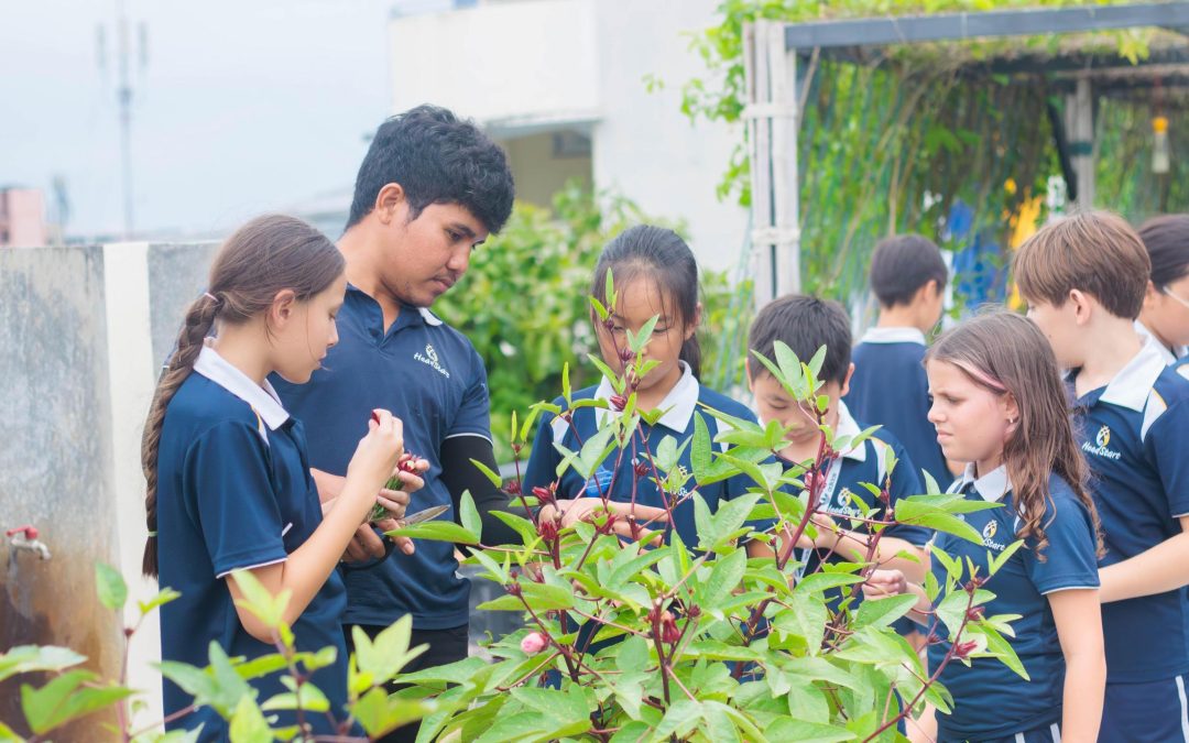 Year 6 White Get Green Fingers in the Growing Garden