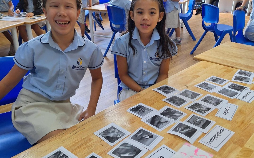 Investigating the World of Animals and their Habitats in Year 4
