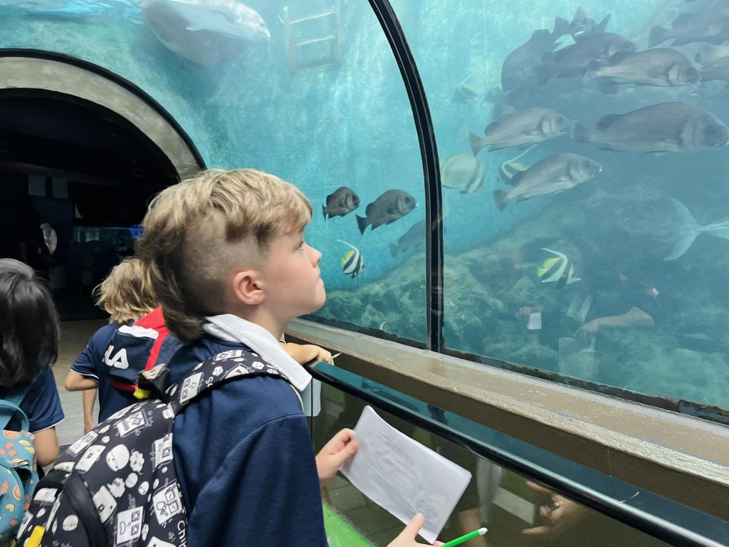Year 4 Captivated about Conserving our Oceans at Panwa Aquarium