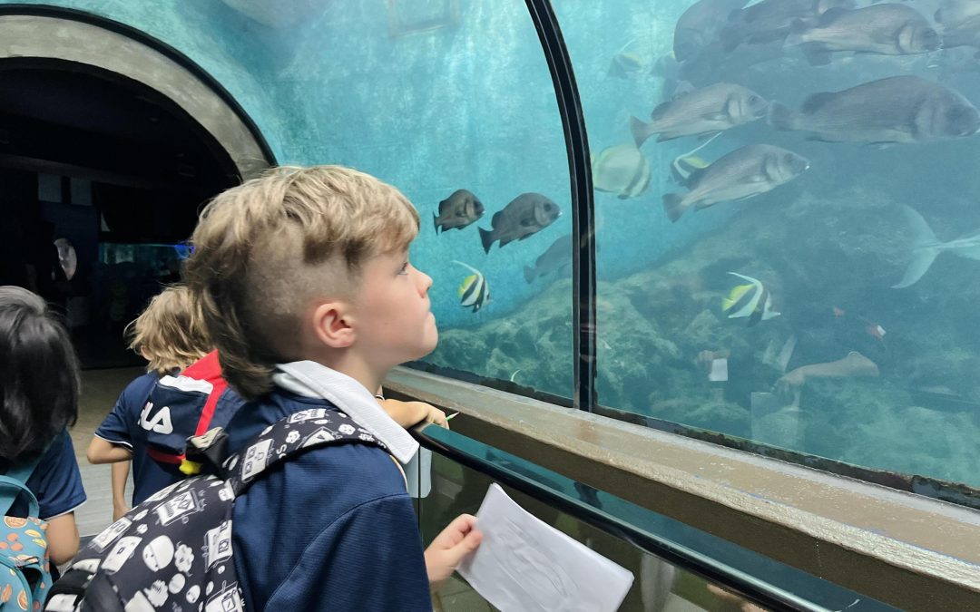 Year 4 Captivated about Conserving our Oceans at Panwa Aquarium