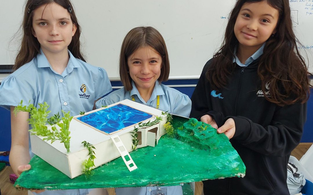 Using SketchUP to Design Eco-friendly Homes in KS3