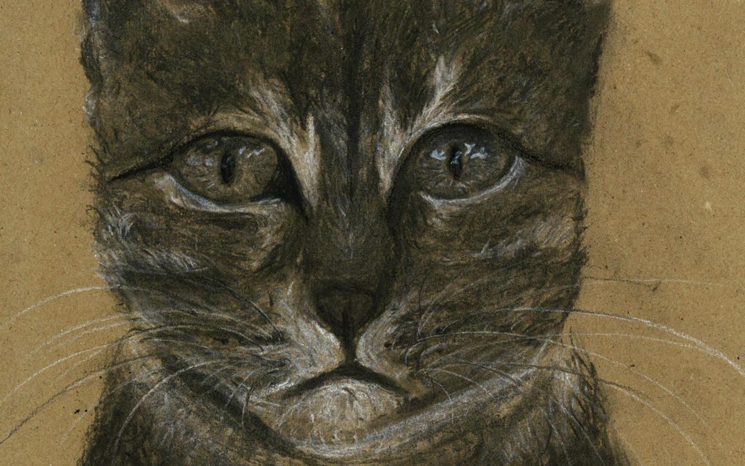 Developing Drawing Skills with Charcoal and Chalk in VAP and ECA Classes