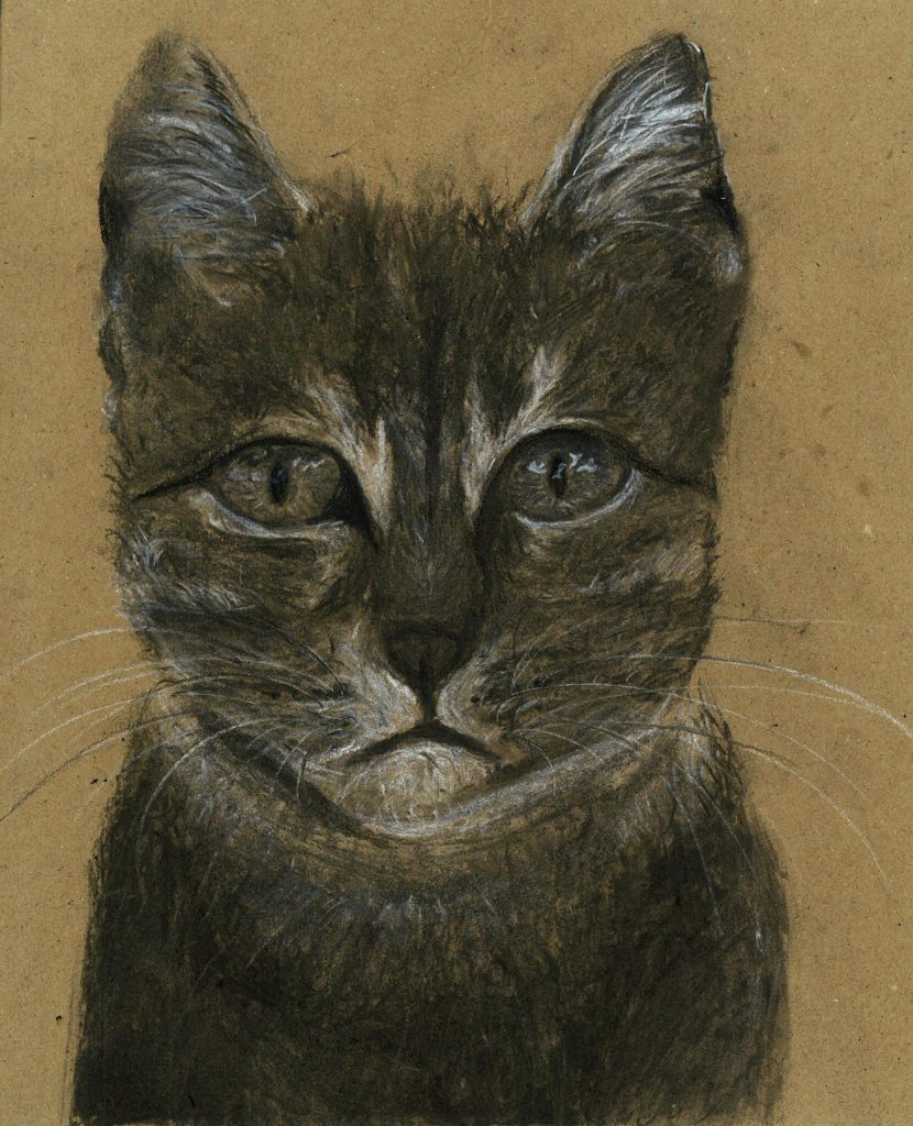 Developing Drawing Skills with Charcoal and Chalk in VAP and ECA Classes
