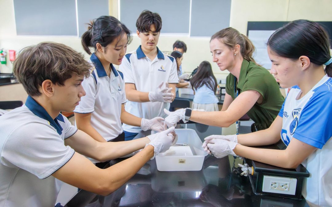 Getting to the Heart of the Matter in IGCSE Biology