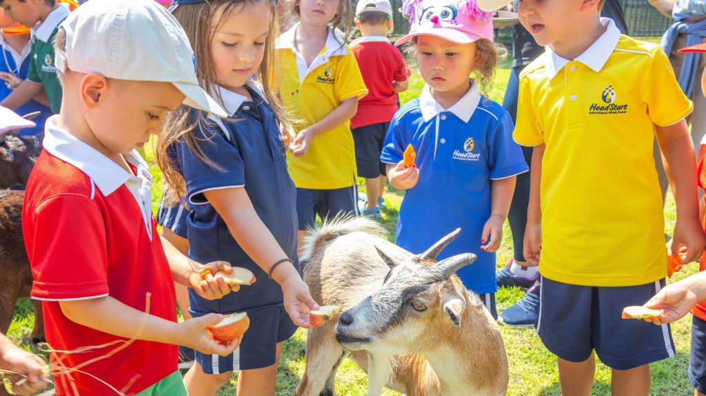 Early Years Get Hands On with Ponies at Niran Farm