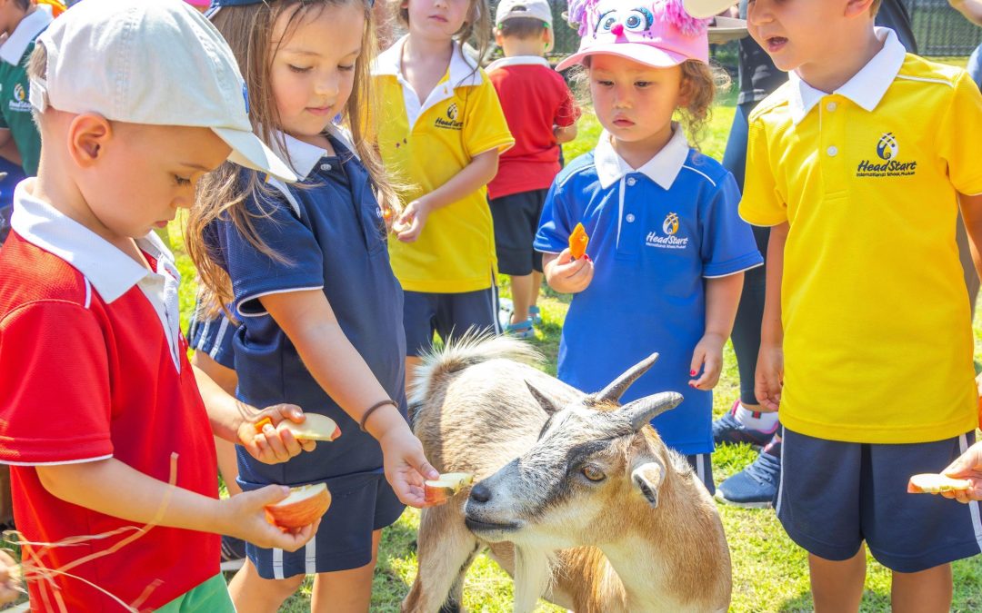 Early Years Get Hands On with Ponies at Niran Farm
