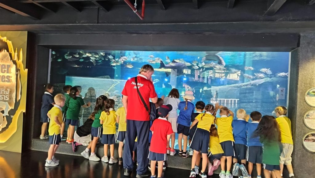 Year 1 Come Face to face with Underwater Creatures