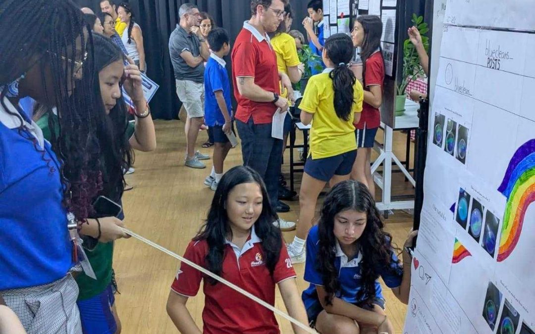 Year 8 Science Fair