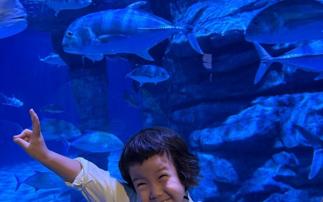 Preschool’s First Ever Field Trip – A Splashing Success!