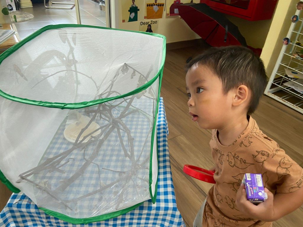 Observing a Magical Moment Up Close in Preschool