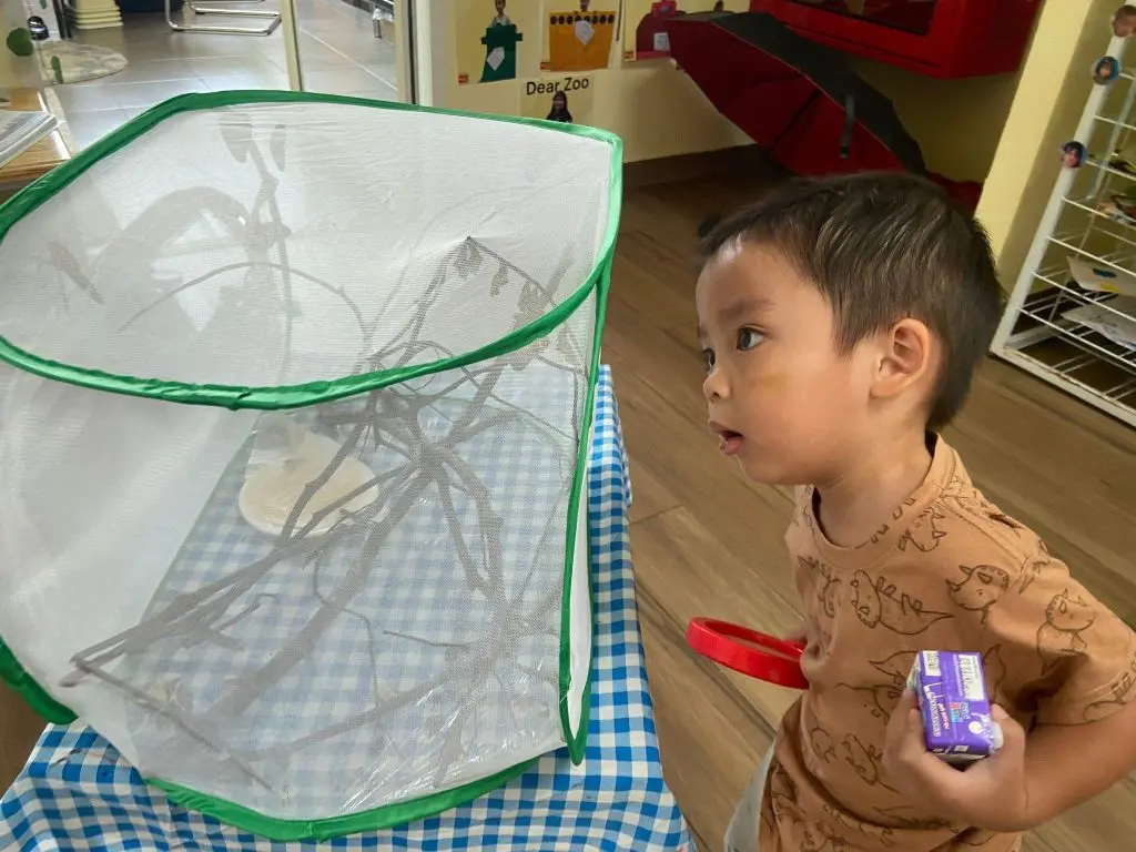 Observing a Magical Moment Up Close in Preschool