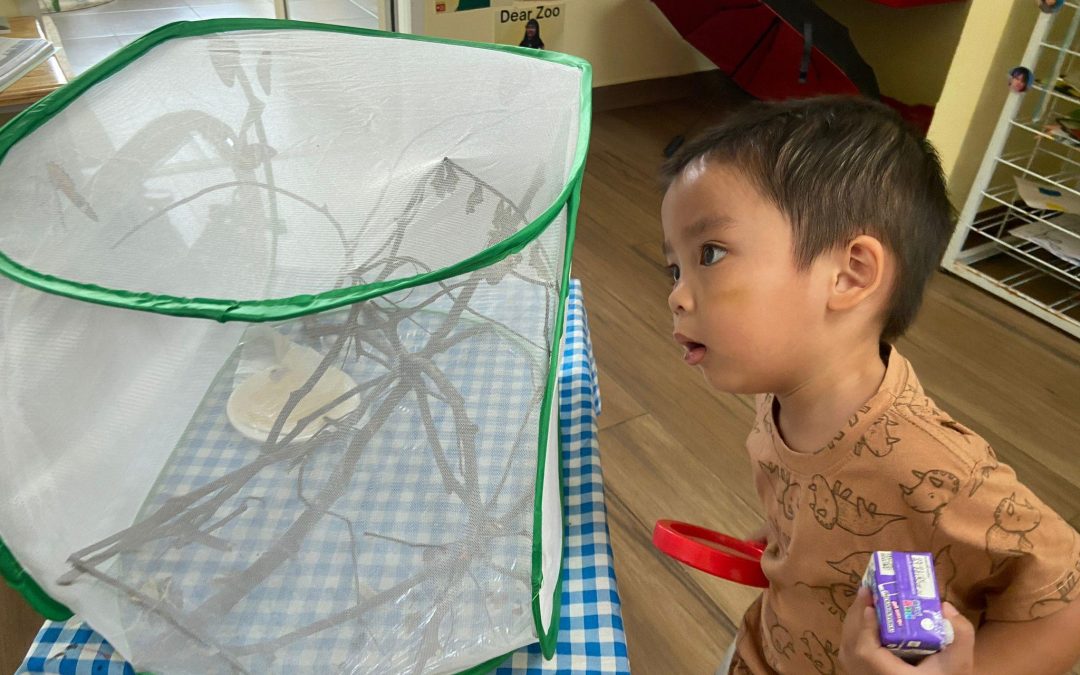 Observing a Magical Moment Up Close in Preschool