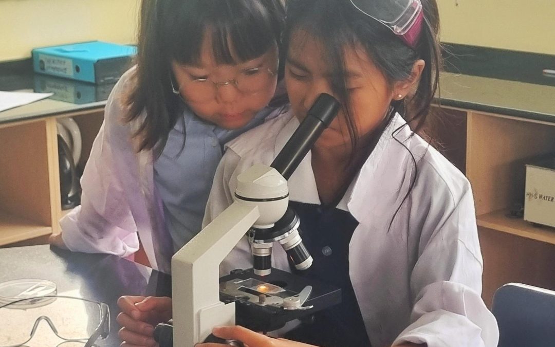 Year 4 Science Club Explore the Secondary Biology Lab