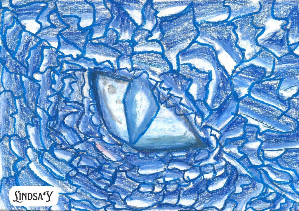 Year 3 Art: Dragon Eyes with Oil Pastels