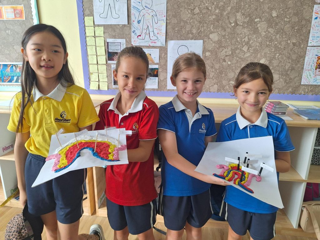 Getting Hands On in Year 4!