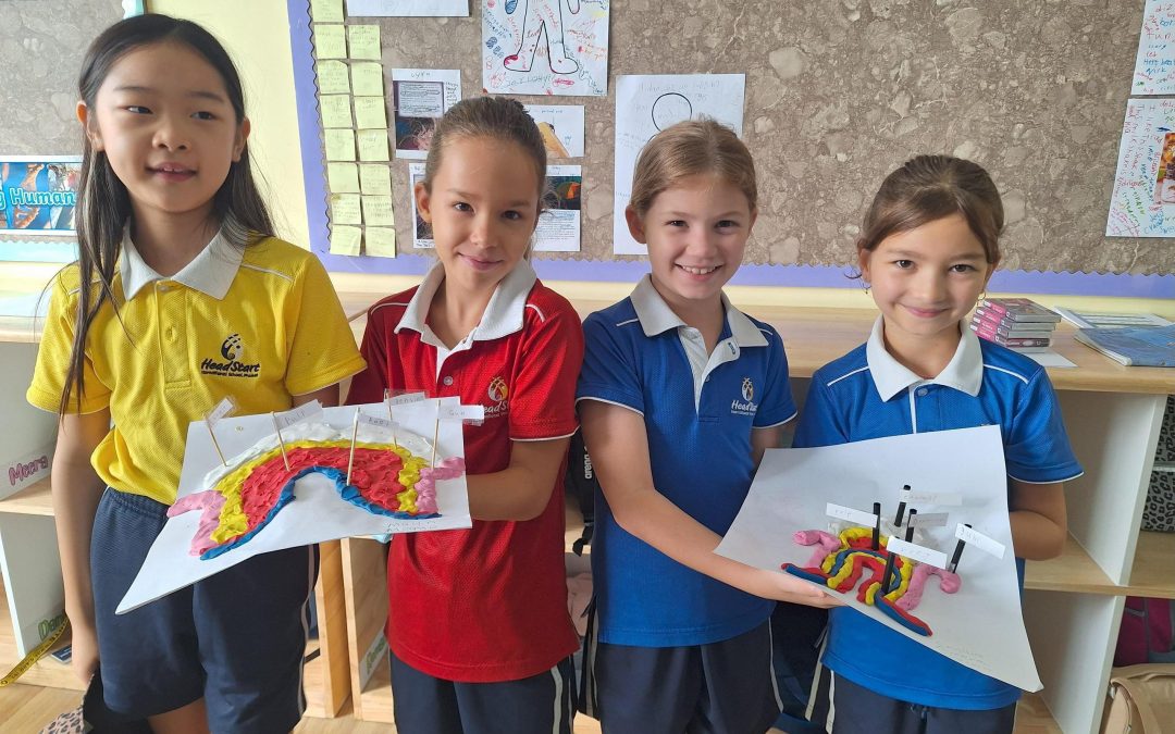 Getting Hands On in Year 4!