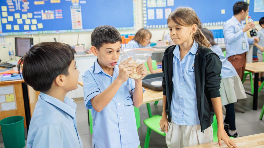 Getting Hands-on with Digestion in Year 4 Science