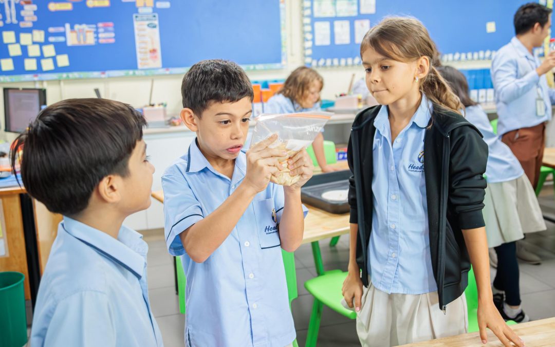 Getting Hands-on with Digestion in Year 4 Science