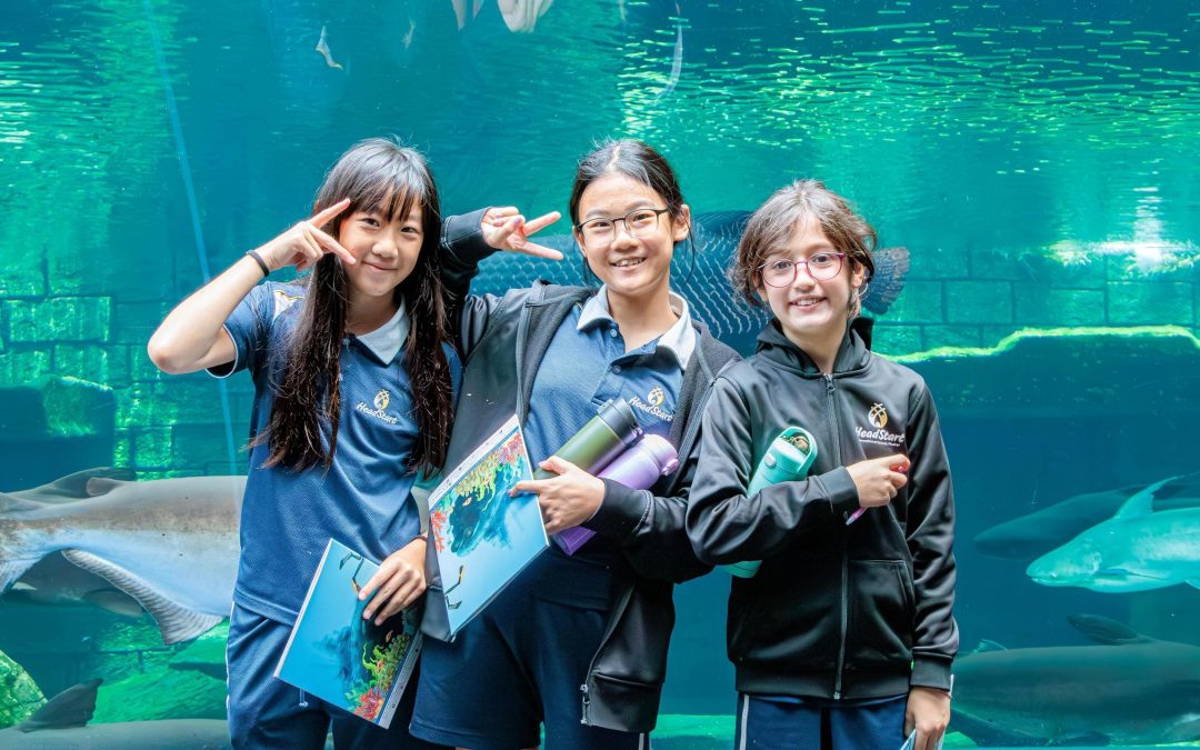 Fostering a Lifelong Interest in the Natural World: Year 6 Explore Aquaria