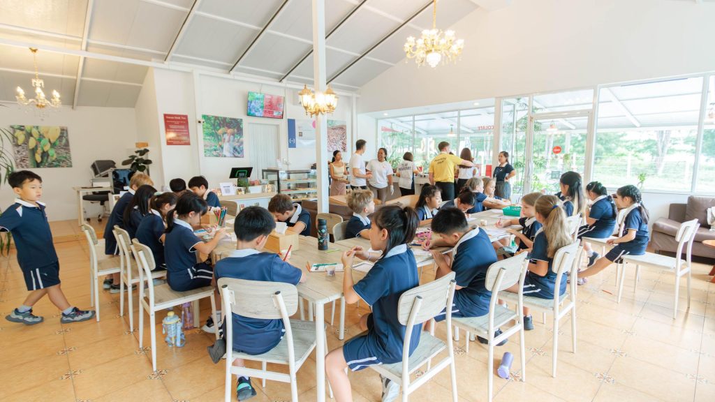 A Chocolate Factory Adventure: Year 5 Get Creative with Cocoa
