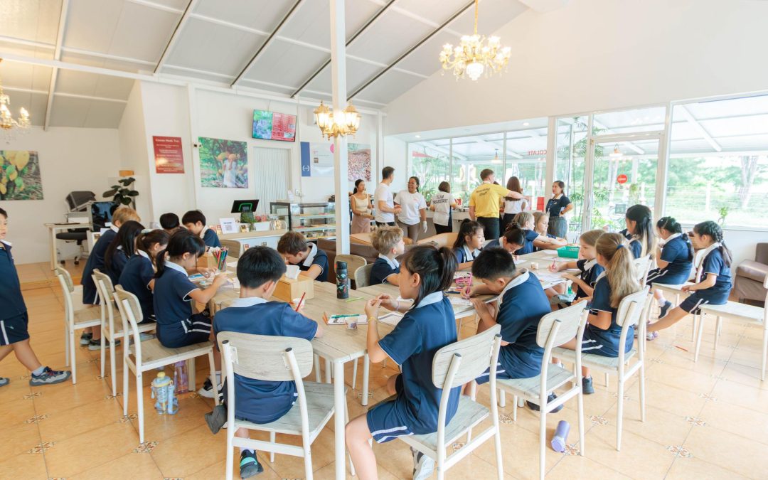 A Chocolate Factory Adventure: Year 5 Get Creative with Cocoa