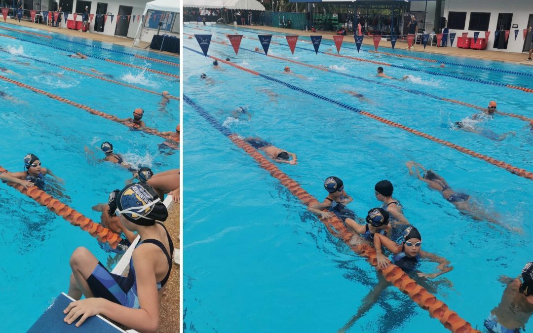 Aqua Panthers Make Waves at BISP Swim Meet