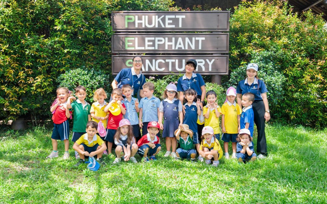 A Day to Remember: Our Visit to the Elephant Sanctuary