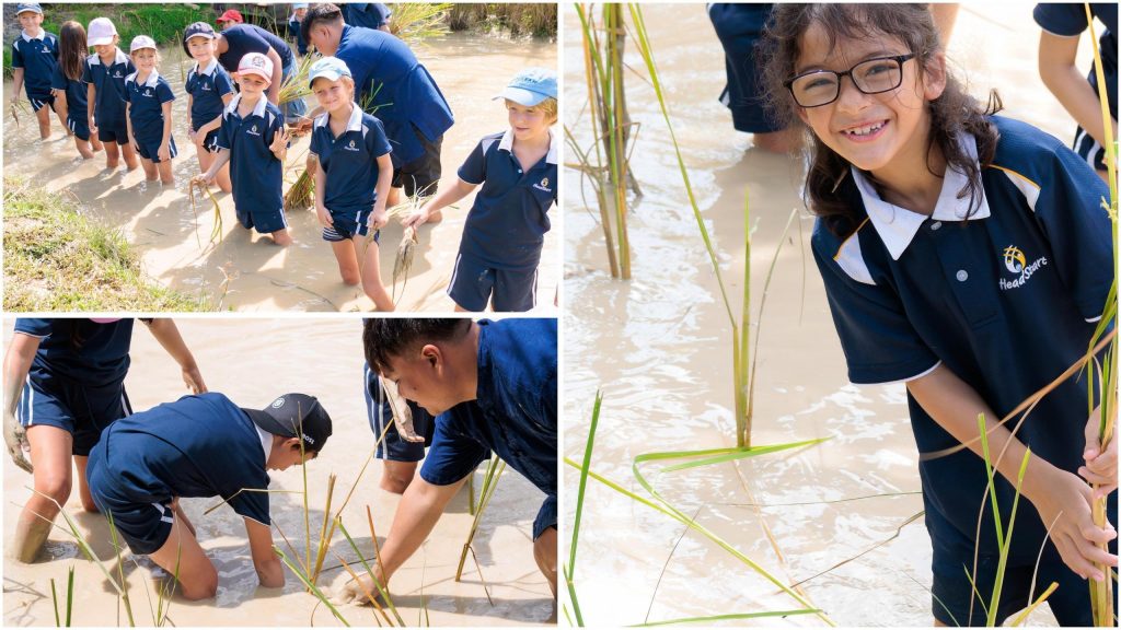 Bringing Local History to Life: Year 3 Visit Old Phuket Farm