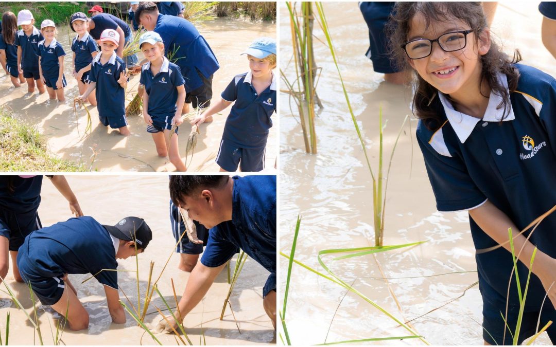 Bringing Local History to Life: Year 3 Visit Old Phuket Farm
