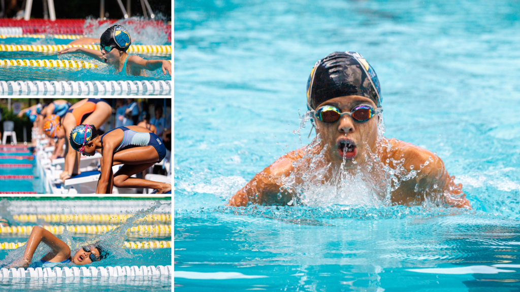 Aqua Panthers Dominate at International API 2025