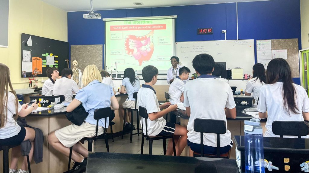 Bringing Digestion to Life in Year 10 Biology