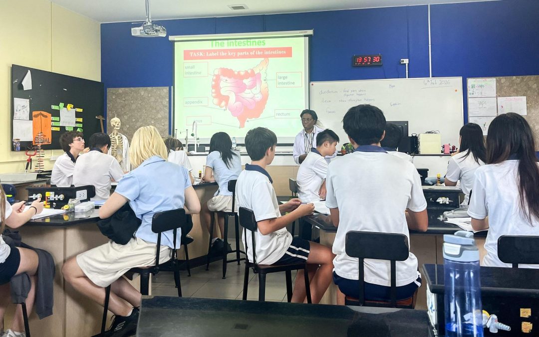 Bringing Digestion to Life in Year 10 Biology