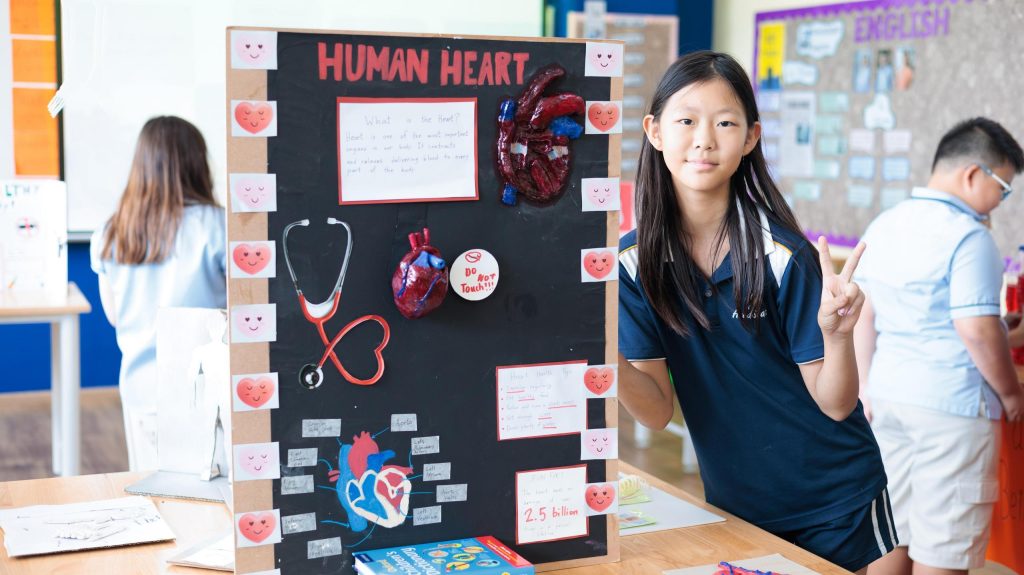 Year 6 Science Fair: Showcasing the Circulatory System through Student-Led Learning