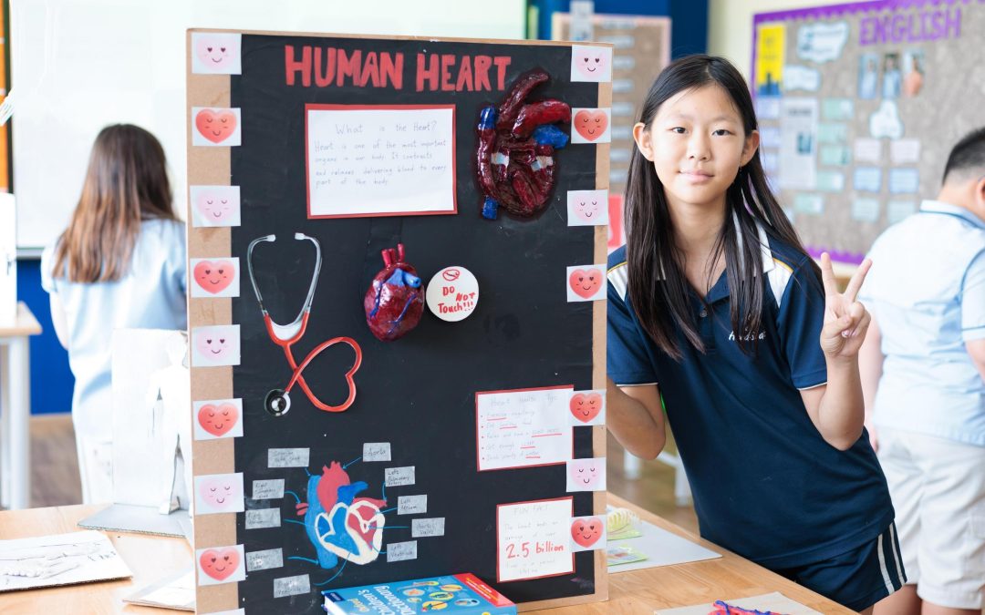 Year 6 Science Fair: Showcasing the Circulatory System through Student-Led Learning