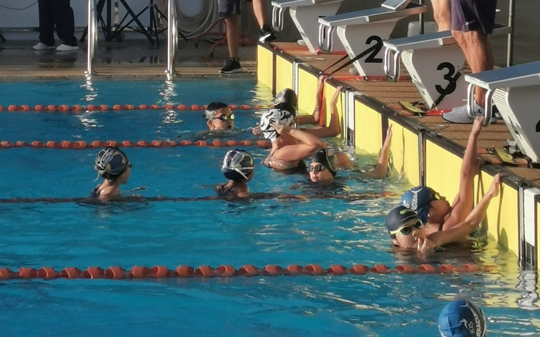 Aqua Panthers Secure Second Place at BISP Invitational